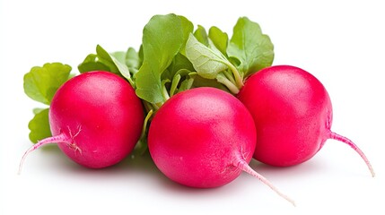 Fresh red radishes with green leaves isolated on white background.