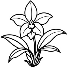 Orchid Oasis line art art vector