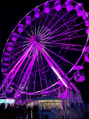 Festive Lights Ferris Wheel Magic at the Poznań Christmas Fair