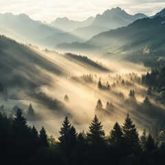 Obraz premium Majestic morning light filters through misty mountains and forests in a serene valley landscape
