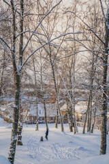 Fototapety na wymiar - Fototapeta24.pl