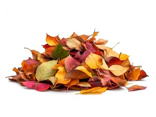 a pile of colorful autumn leaves, on a white background, a simple and bright display of fall season foliage.