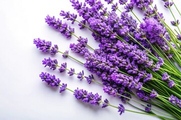 Obraz premium Lavender Flowers Overhead View, Purple Floral Background, White Space, Botanical Photography, Copy Space, Floral Design, Lavender Field, Purple Flowers, Nature Photography