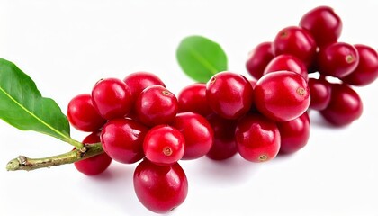 Fresh coffee beans on a white background