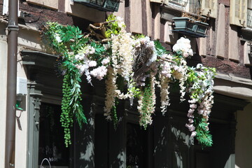 Fototapety na wymiar - Fototapeta24.pl