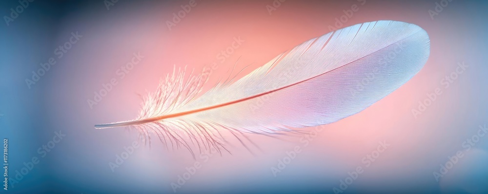 Poster feather abstract background concept. a soft feather resting gently against a blurred pastel backgrou