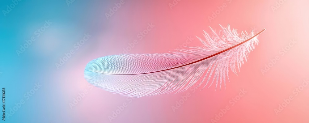 Poster feather abstract background concept. delicate feather floating on a colorful background, symbolizing