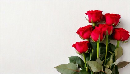  Red rose flower stem bunch flat lay top view on neutral white clean