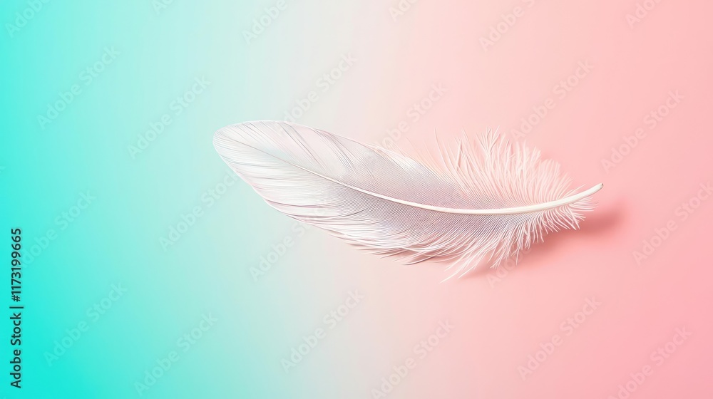 Poster feather abstract background concept. a soft white feather against a gradient backdrop of pink and bl