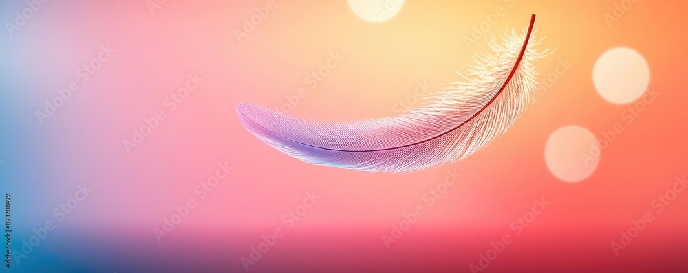 Poster feather abstract background concept. elegant feather floating above a colorful blurred background, s