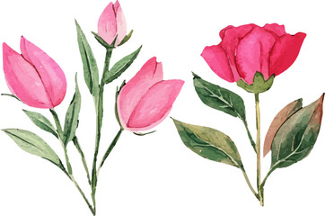 bouquet of pink tulips