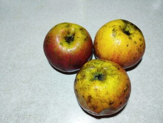 Three red apples on a gray background. Homegrown apples grown without chemical treatment. Eco-friendly apples.