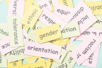 Diversity, equality, inclusion, gender and ethnic race, human rights, tolerance and acceptance,...