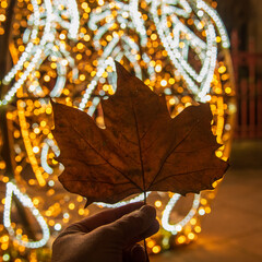 Dried leaf on London street 2