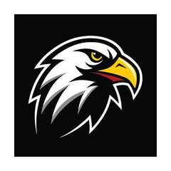 bald eagle head