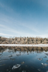 A winter landscape with a river with ice floes and a clear blue sky with snow-covered trees.