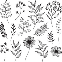 Fototapeta premium Set of Floral Vector Flower and Leaf for Nature-Inspired Decorations Wallpaper, Patterns, and Holiday Banner Designs