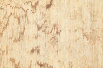 Natural old wood texture macro closeup