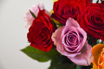 カラフルなばら