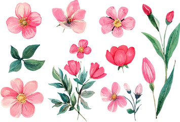 pattern with flowers