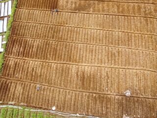 VEGETABLE GARDEN EXPANSION IN THE HIGHLANDS AT THE FOOT OF MOUNT SLAMET, PANDAN SARI VILLAGE, PAGUYANGAN, BREBES, INDONESIA