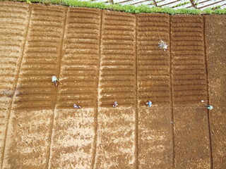 VEGETABLE GARDEN EXPANSION IN THE HIGHLANDS AT THE FOOT OF MOUNT SLAMET, PANDAN SARI VILLAGE, PAGUYANGAN, BREBES, INDONESIA