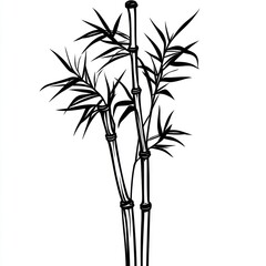 Obraz premium Elegant Black And White Bamboo Illustration