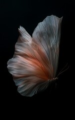 flower of a feather
