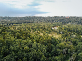 drone view of the river meandering through the woods