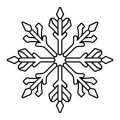 Obraz premium black and white snowflake