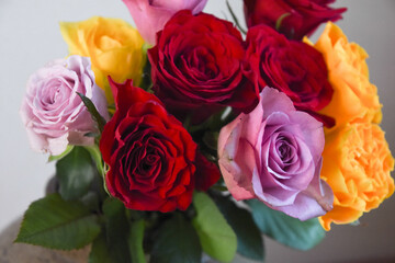 カラフルな薔薇