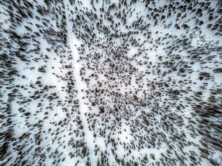 lapland winter aerial Inari Nellim frozen lakes and forest landscape panorama