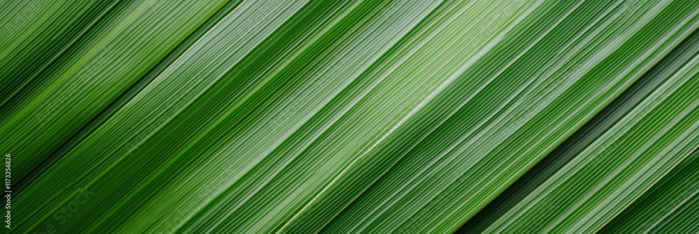 Poster Close up view capturing diagonal green leaves, creating a vibrant and textured natural pattern, perfect for enhancing nature themed backgrounds and design projects