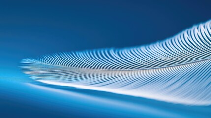 Feather abstract background idea. A delicate feather resting on a smooth blue surface, showcasing intricate details and textures.