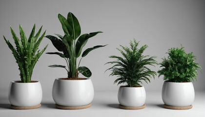 Obraz premium Varieties of indoor plants in modern white pots arranged on a neutral background for a fresh aesthetic