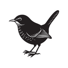 wren bird silhouette, black and white silhouette, vector and illustration