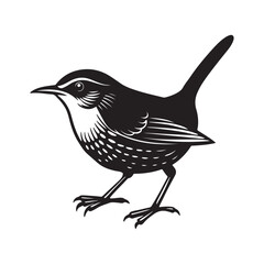 wren bird silhouette, black and white silhouette, vector and illustration