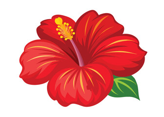 joba red flower vector with white background © MDSHAHIN