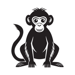 monkey silhouette, black and white silhouette, vector and illustration