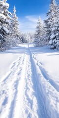 Serene Snowy Path Through a Dense Winter Forest Surrounded by Majestic Pine Trees and Softly Falling Snowflakes Creating a Peaceful Atmosphere
