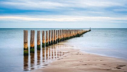 Fototapeta premium Wooden posts extend into calm waters at a tranquil beach during overcast weather