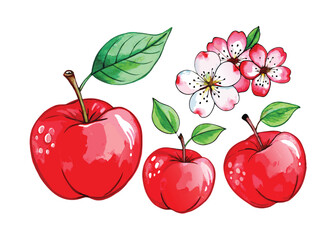 red apples of leaves vector
