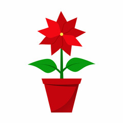 red flower in a pot