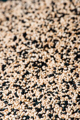 sesame close up. black and white sesame