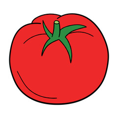 Hand drawn cartoon tomato on white background.