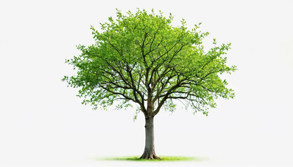 Obraz premium Lush green tree standing tall in a bright environment showcasing nature's beauty and vitality