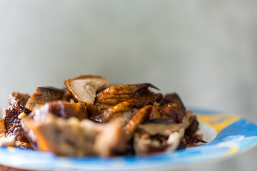 Slice of savoury crispy roast duck served on dish