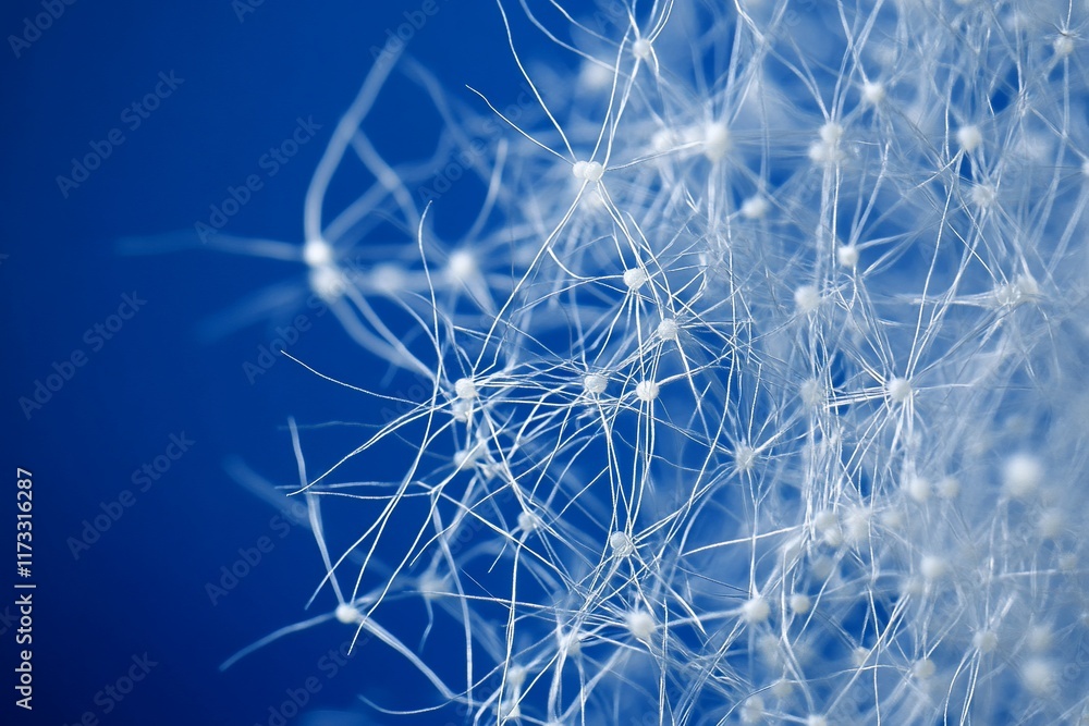 Poster close-up of delicate white structures resembling a network against a deep blue background.