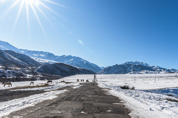 Winter road in a mountain gorge, sun disk with rays and glare on the lens. Winter local travel.