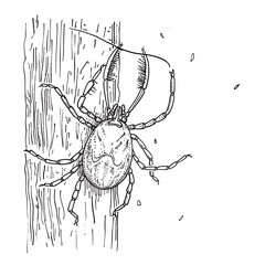 tick outline crawling up tree trunk